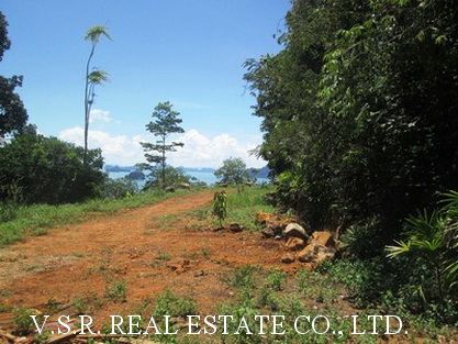 Land for sale Tha Lane Bay, Phetkasem road, Kaothong, Mueang Krabi, Krabi